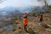 Cargil Respon Walhi Soal Kebakaran Hutan