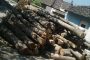 Jasa Produksi Kayu Anak Negeri