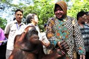 Banyak PR Risma Belum Tuntas Jelang Lengser