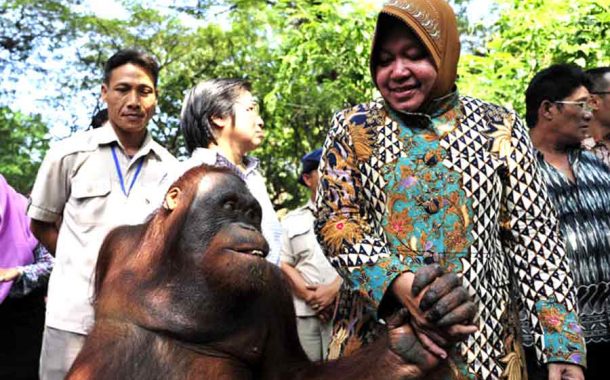 Banyak PR Risma Belum Tuntas Jelang Lengser