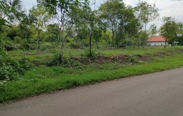 Lahan Terbuka Akses Jembatan Suramadu Dijual Rp 4,5 Miliar