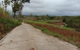 Di Jual Segera Lahan 15 Hektar Di Karangploso Rp 35 Miliar