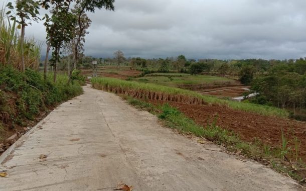 Di Jual Segera Lahan 15 Hektar Di Karangploso Rp 35 Miliar