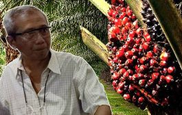 LKKP Desak Presiden Ganti Menteri Perdagangan